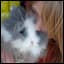 Hanna-