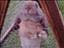 Hanna_BS