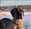MiaOchMozart