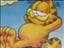 katten_findus
